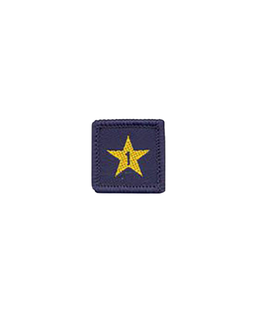 Membership Year Star Badge