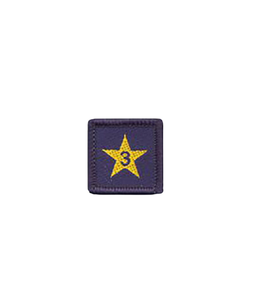 Membership Year Star Badge
