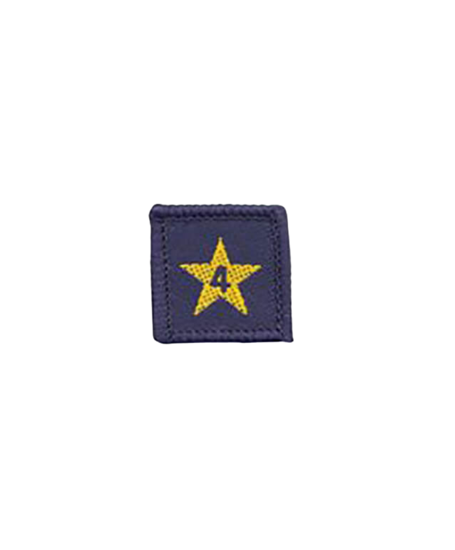 Membership Year Star Badge