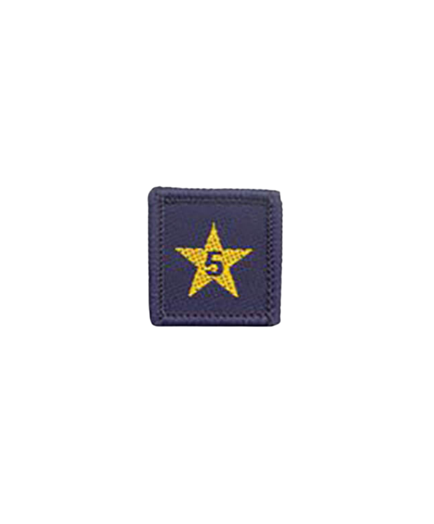 Membership Year Star Badge