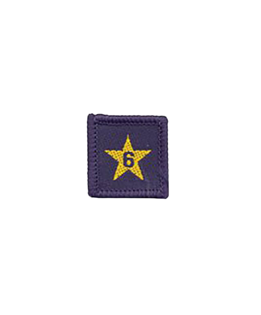 Membership Year Star Badge