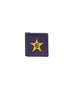 Load image into Gallery viewer, Membership Year Star Badge
