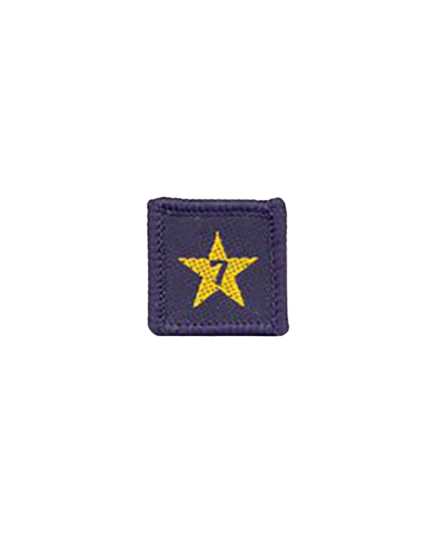 Membership Year Star Badge