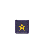 Load image into Gallery viewer, Membership Year Star Badge
