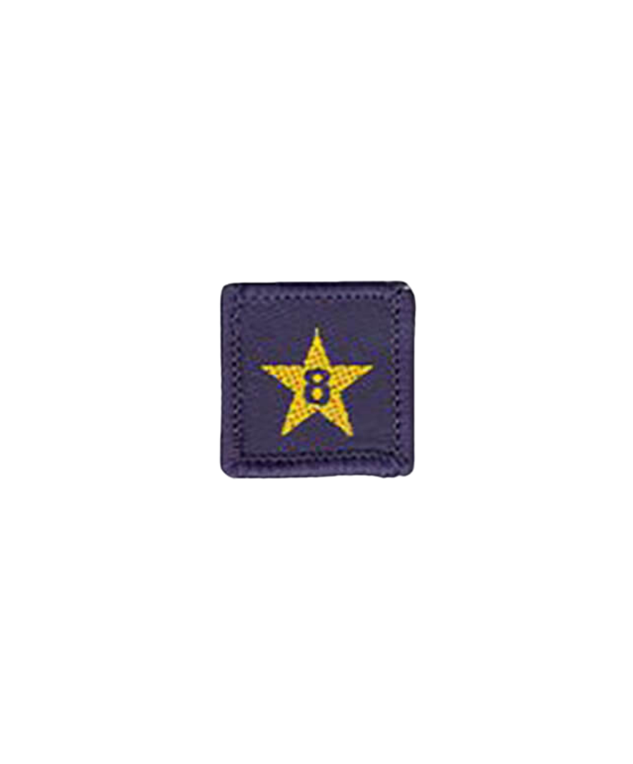 Membership Year Star Badge