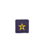 Load image into Gallery viewer, Membership Year Star Badge
