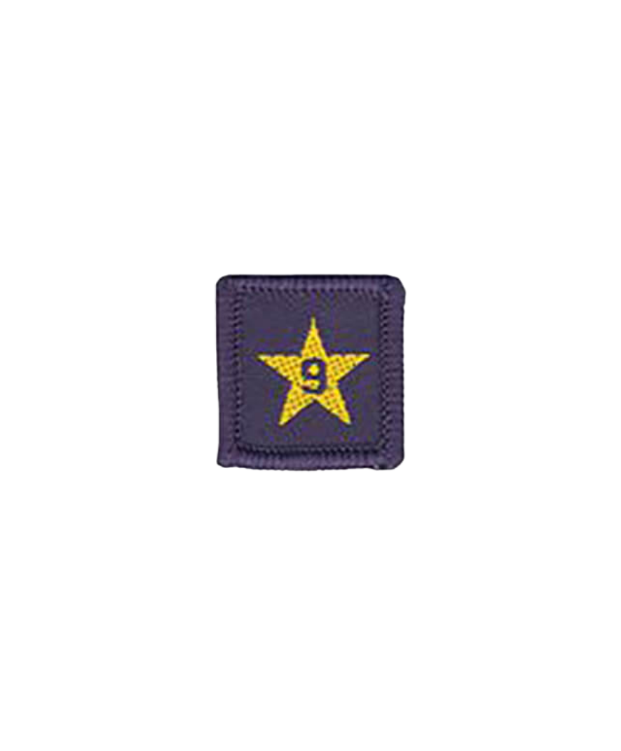 Membership Year Star Badge