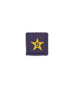 Load image into Gallery viewer, Membership Year Star Badge
