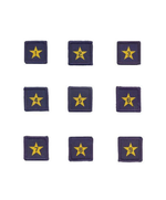 Load image into Gallery viewer, Membership Year Star Badge
