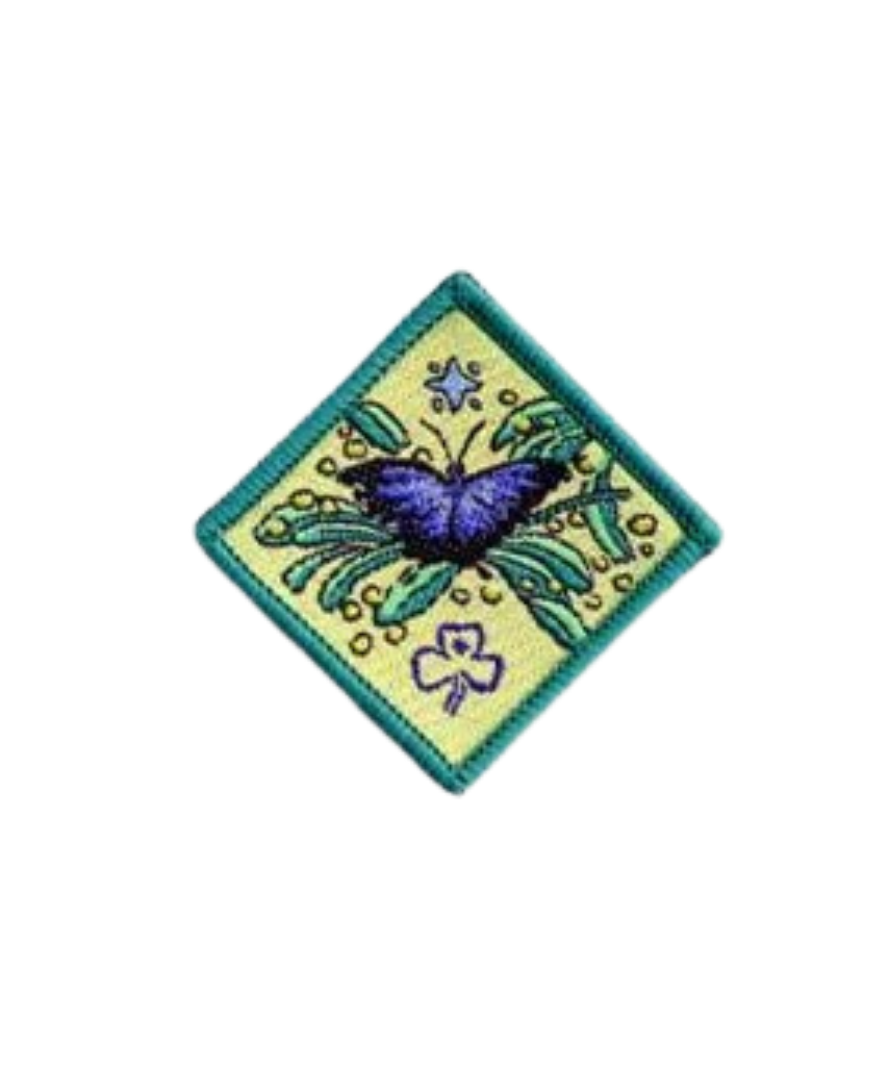 Create a Challenge Environment