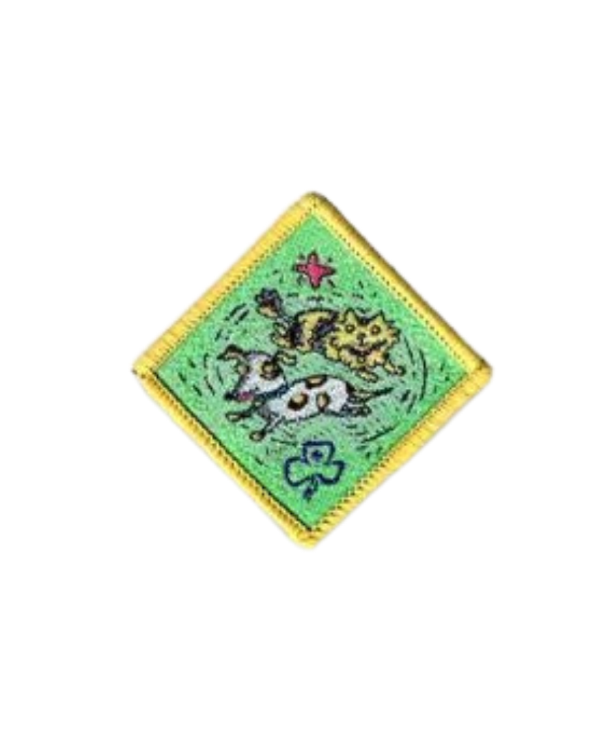 Create a Challenge Pets