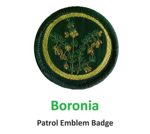 Patrol Emblem - Boronia