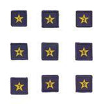 Load image into Gallery viewer, Membership Year Star Badge
