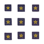 Load image into Gallery viewer, Membership Year Star Badge
