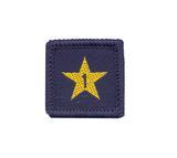 Membership Year Star Badge