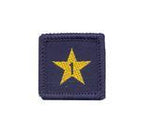 Load image into Gallery viewer, Membership Year Star Badge
