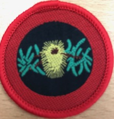 Patrol Emblem - Banksia