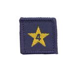 Membership Year Star Badge