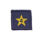 Load image into Gallery viewer, Membership Year Star Badge
