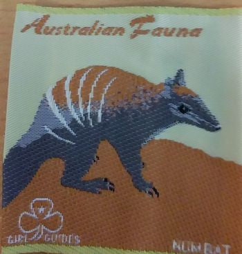 Fun Badge - Aust Fauna - Numbat