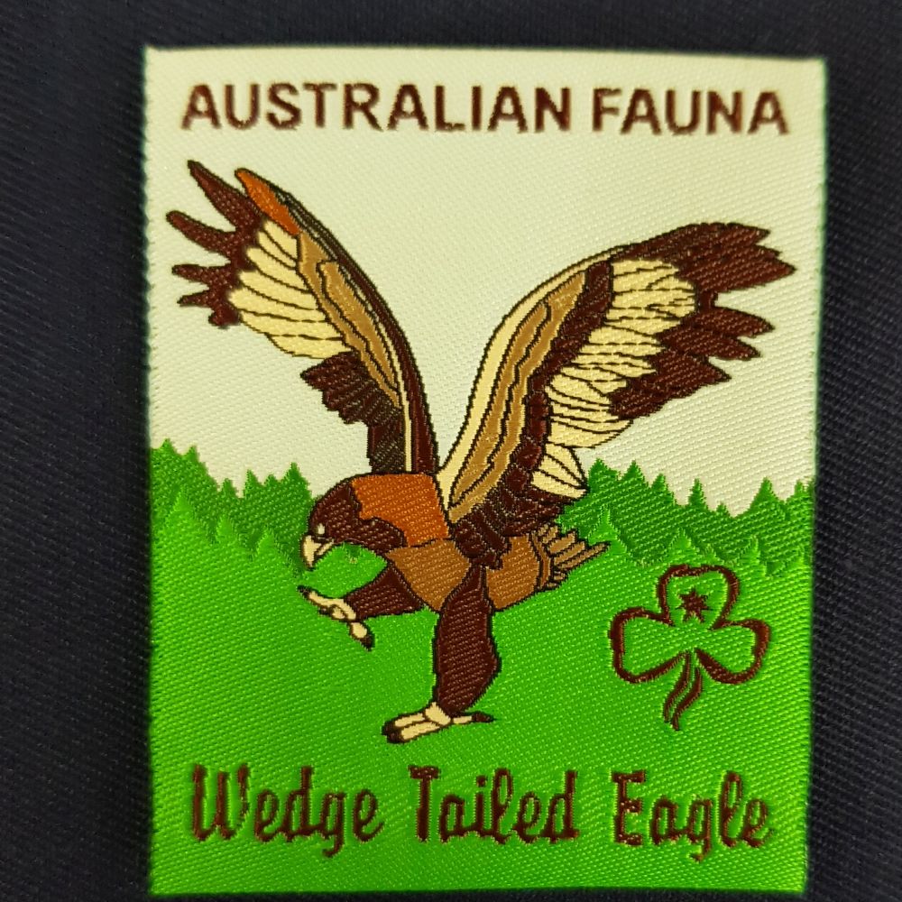 Fun Badge - Aust Fauna - WedgeTail