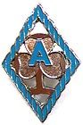 Assist District Leader Badge