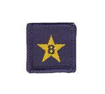 Load image into Gallery viewer, Membership Year Star Badge
