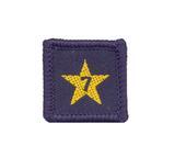 Membership Year Star Badge