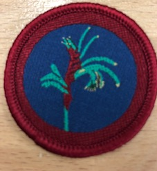 Patrol Emblem - Kangaroo Paw