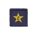 Load image into Gallery viewer, Membership Year Star Badge
