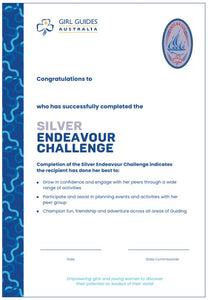 Certificate - Endeavour SILVER