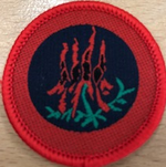 Load image into Gallery viewer, Patrol Emblem - Sturt Pea

