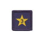 Load image into Gallery viewer, Membership Year Star Badge
