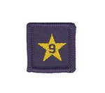 Load image into Gallery viewer, Membership Year Star Badge
